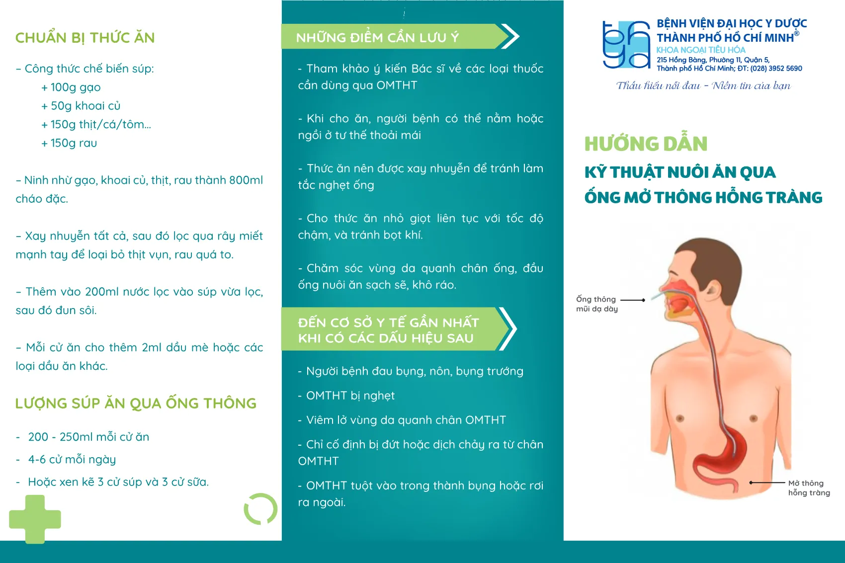 to roi huong dan ky thuat an qua ong mo thong hong trang_1.webp